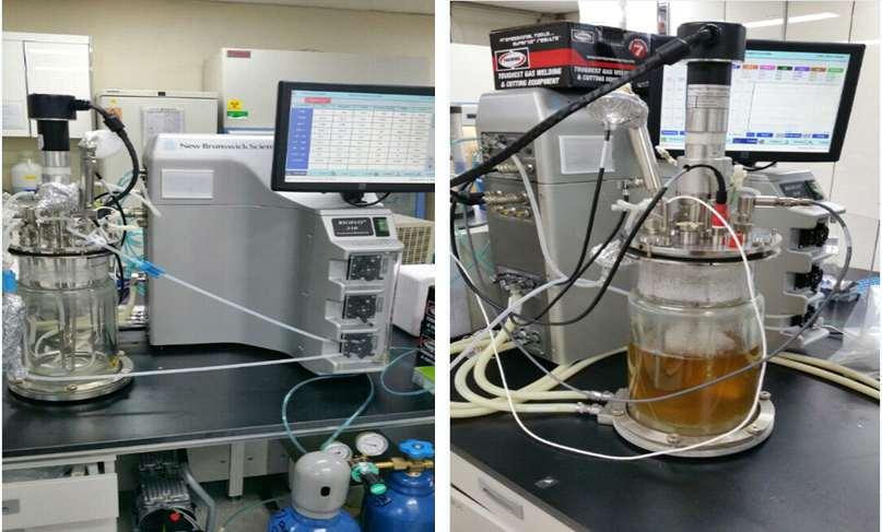 그림 34. 가동중인바이오리엑터 (Bioreactor) 바이오리액터의배양조건은리액터제작사의매뉴얼과제작사기술진의조언을바탕으로 아래표 ( 표 2) 에서보는바와같이 8% 이산화탄소, 40% 산소, 52% 공기와분당 75 회회전 조건으로실험하였다.