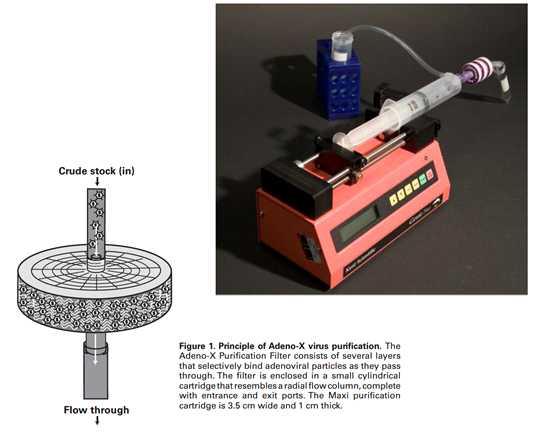 Adeno-X Mega purification kit은 size exclusive filtration system의일종으로실험실수준에서사용할수있도록소형화하여제작되었다.