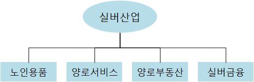 II. 중국실버산업개념및발전단계 1.