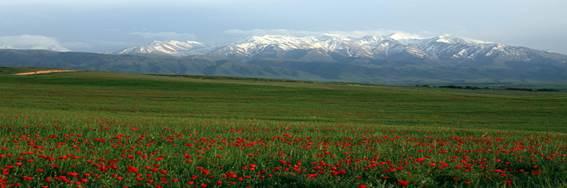 나. 지리환경 기후 키르기스스탄, 중앙아시아의스위스 키르기스스탄은세계에서가장바다와멀리떨어진내륙국가로전체국토의 80% 이상이해발 2,000m 이상의천산의산악지역으로이루어져있 으며, 국토의나머지는계곡과분지로이루어져있다. 키르기스는국토길이가동서로 900km, 남북으로 425km 에달하며전체면적은한반도에버 금간다.