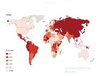 GLOBOCAN 2008, Cancer Incidence and Mortality Worldwide: IARC; 2010, Available from: http://globocan.iarc.fr 그림 16.