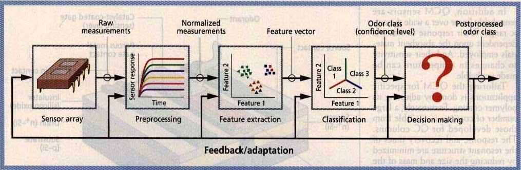 of chemical sensors (Olfactory Receptor) Electronics