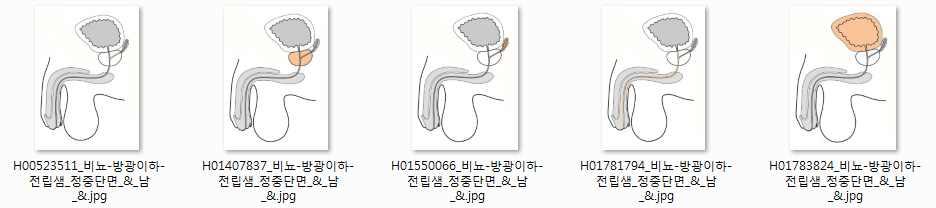 신규제작되는부분그림용어연계 부분그림파일명연계대상구조물개념코드 D215.