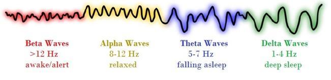 델타파 (1-4Hz) : 무의식의뇌파로서, 깊이잠든상태에서활발하게움직이며 수면중의휴식단계를제공해줍니다. 세타파 (5-7Hz) : 의식과무의식사이의뇌파로서, 내적통찰이나새로운아이디어를얻는순간, 졸리거나깊은명상시발생합니다. 단, 과도한세타파는주의력장애를나타내기도합니다.