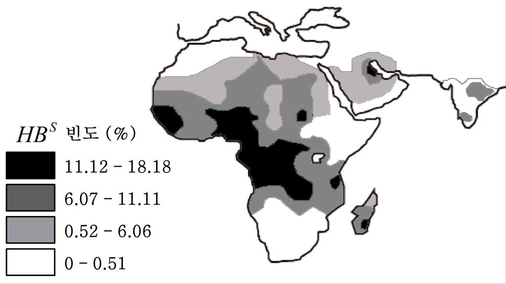 는 HB S/HB S 유전자형을 가진 영유아들의 생존율을 나타낸 그래프이다. (c) 말라리아가 발병하지 않고 인구 유동이 전혀 없는 작은 섬에서 의학의 발달로 낫 모 그림 1 양 적혈구 빈혈증 환자의 생존율이 정상인과 같게 되었다고 가정하자. 이 집단에서 대 립유전자 HB A A 와 HB S는 하디-바인베르크 평형을 이루게 되겠는가?