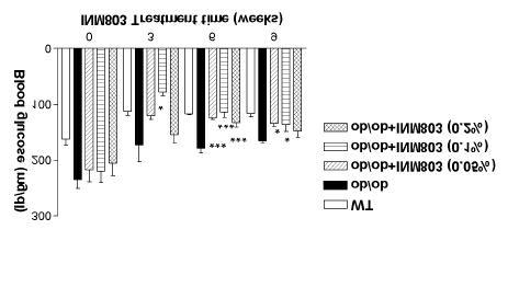 Fig. 1. ob/ ob mouse INM 803.