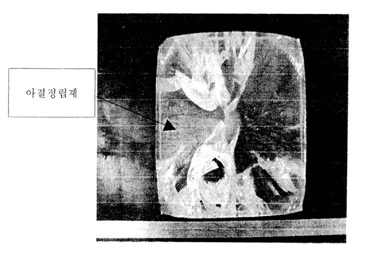 라) 결정성장방위가사파이어성장에미치는영향 사파이어는성장을 C-축으로할수없다고알려졌으며대부분 C-축을성장방향의수직에둔다. 본연구에서의사파이어결정을생산해서대구경일반윈도우로쓰일때는성장방향과관계없이대면적으로가공이가능하지만 B-LED의웨이퍼나 C- 축을요구하는특수윈도로는결정높이의한계로인해사실상불가능하다.