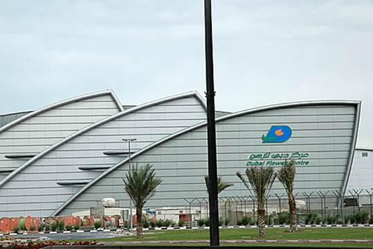 대표메일 - 웹사이트 - 주무부서 주요유치분야 기업형태 두바이국제공항자유무역지역청 (Dubai Airport Free Zone Authority) 화훼, 원예, 과실, 채소 법인 (FZCO, FZE), 지사 (Branch) 설립비용등록비 : 20,000AED( 지사제외 ) 주요입주기업 면허비 : 15,000AED( 연간 ) 최소자본금 - 법인 (1 인주주