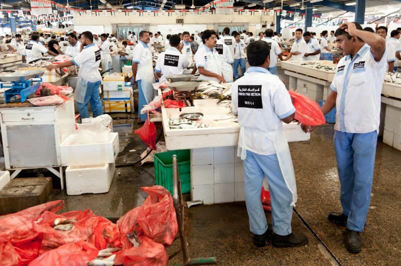 데이라피쉬마켓 (Deira Fish Market) ㅇ개장시간 : 05:00~13:00 / 17:00~23:00 데이라에위치한피쉬마켓은두바이에서싱싱한생선을저렴하게구입할수있는곳이다.