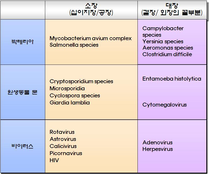 설사, 복통, 발열등은흔한소화기증상으로대변의배양, 충란검사, 내시경검사등이필요하다. 세균 ( 살모넬라, 쉬겔라, 캄필로박터, 마이코박테리아등 ), 원충 ( 아메바, 지알디아, 아이소스포라, 크립토스포리디아, C.