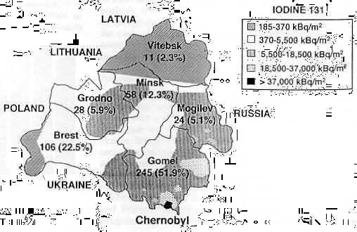 198 6 1995 동안 Belarus 지역에서의소아갑상선암발생수는 4 72 명이며, 분포 도는다음과같다.