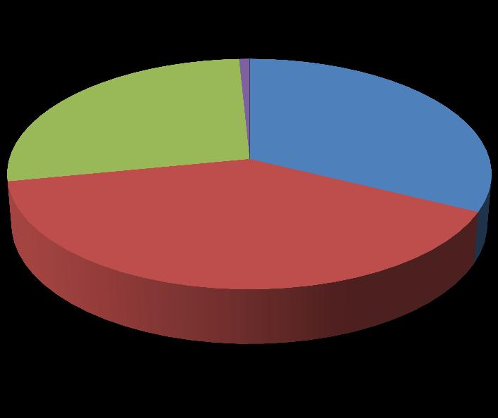 30%(190 개 ) 어린이놀이 55%(340 개 ) 어른놀이 어린이놀이 혼성