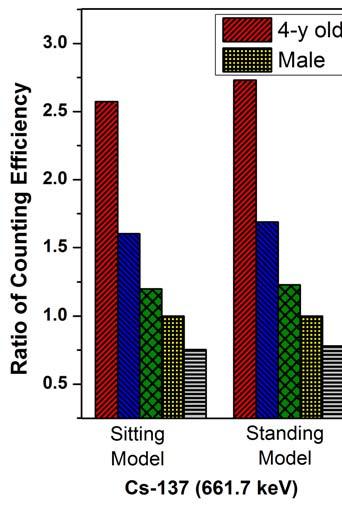 Fig. 6. Ratio of counting efficiency (different size BOMAB/reference male BOMAB) of 137 Cs and 60 Co for sitting and standing models. 남성에서의계측효율과비교하여신체크기와감마선에너지에따라약 1.20~3.