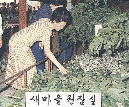 시대 분야별 주요 연구성과 기초기반분야 1960