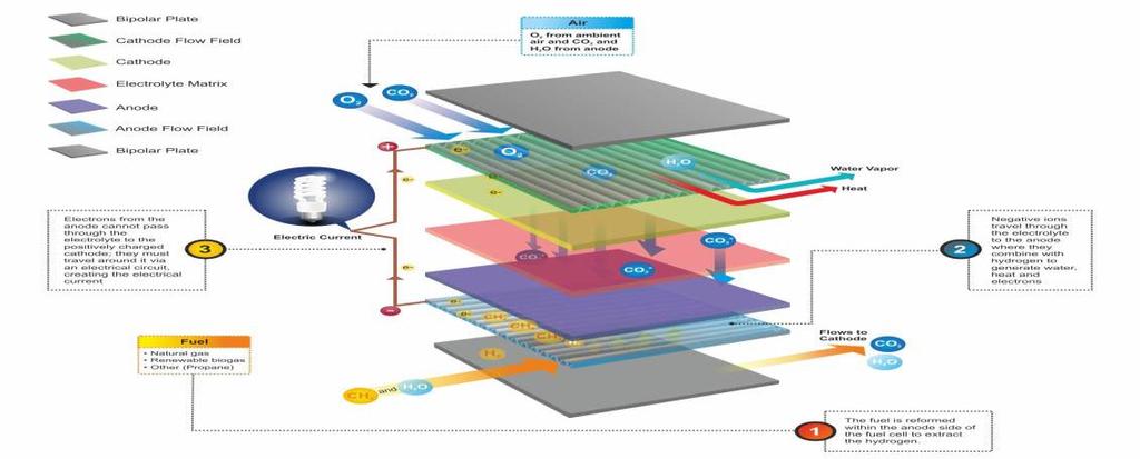 싞기술개발로수소공급가낮아질것 II 수소공급가격을낮출수있는싞 CCS (Carbon Capture and