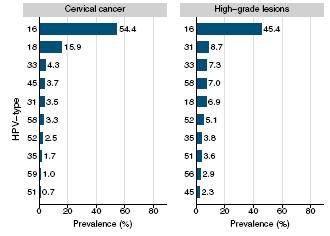 (HPV 18, 45, 39, 59, 68) 중하나에속해있다. 23 Table 1. Burden of HPV in women with and without cervical disease 24 No. tested HPV prevalence % (95%CI) Normal cytology 157,879 10.0 (9.8-10.