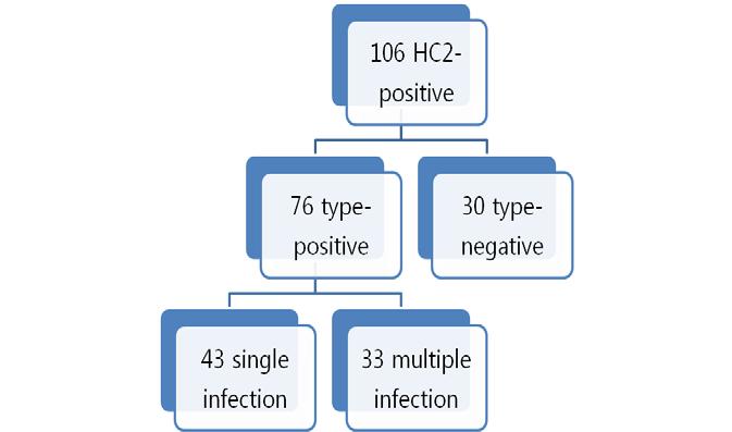 검사가가능했던 106개의 HC2 양성인혈청중에서 PCR을통해아형이확인된혈청은 76개 (71.7%) 였고, 나머지 30개는아형이확인되지않았다. 아형이확인된 76개혈청중 43개는하나의 HPV 아형이확인된단독감염이였고, 나머지 33개는 2개이상의 HPV 아형이확인된복합감염이였다 (Fig. 15)