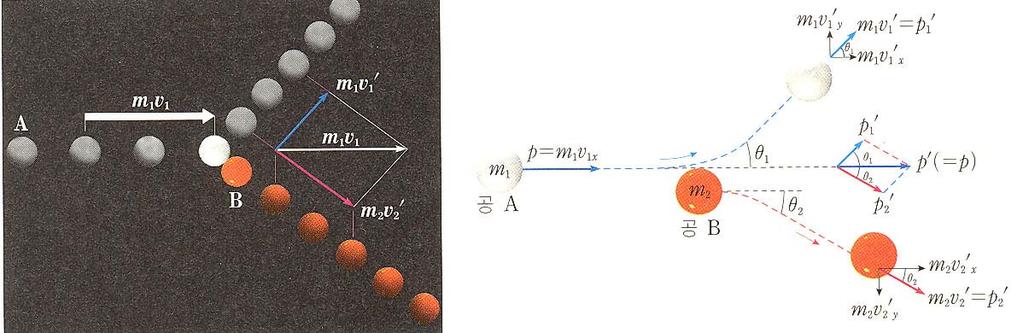 그림 ( 가 ) 에서와같이충돌후두공 A 와 B 의운동량 m 1 v 1 ' 와 m 2 v 2 ' 의벡터합을구하 여충돌전공 A 의운동량 로나타내면 m 1 v 1 과비교해보면서로같다는것을알수있습니다.