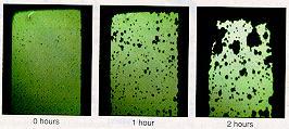 Encapsulation Inorganic layer (single layer) OLED encapsulation 의필요성 -외부오염인자인수분과산소는 OLED 소자의수명및신뢰성을저하시키는요인으로작용 외부로부터산소와수분을차단할수있는 layer 필요