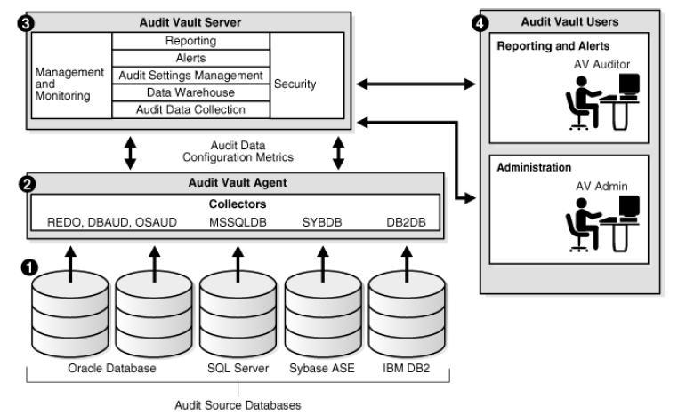 2. Database Audit Vault 구성 2.1. Audit Vault Server Audit Vaule Server 독립된 DBMS 로수집할소스 DBMS의 audit 정보를수집및보관을담당한다. Default 10.2.0.3 DBMS 로설치가되며 Audit Vault 패치이후 DBMS 의패치셋이 10.2.0.4 로업그레이드된다. 2.2. Audit Vault Agent 감사정보수집기 (Collector) 및 Audit Vault Wallet 를관리한다.