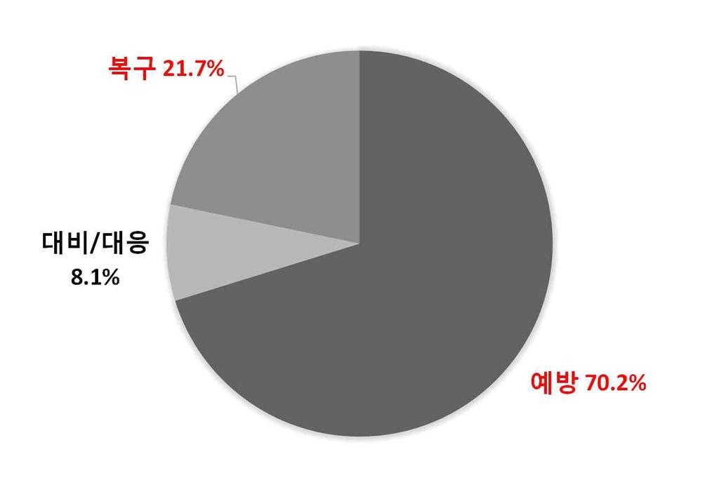 안전예산사전협의와재난 안전사업평가중심의체계운영 - 재난 안전예산사전협의는행정안전부주도로각부처재난