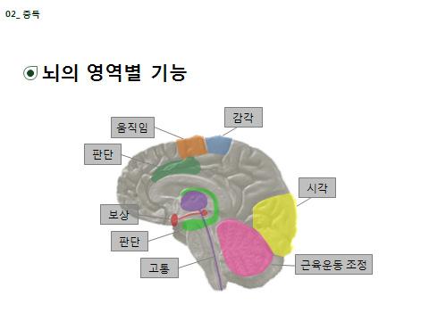 도박중독인식교육 207 2-4. 뇌의영역별기능 소요시간 목적 뇌의영역별기능에대해설명한다. 강의포인트 뇌의각부분은특별한기능들을담당합니다.