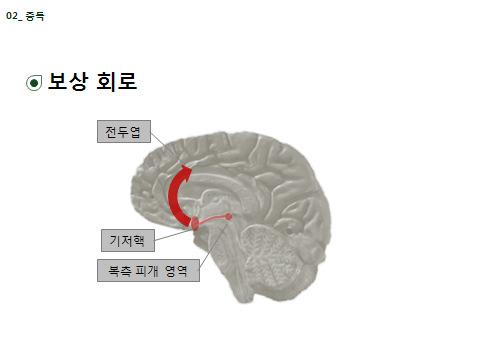 208 모듈2: 중독 2-5. 보상회로와중독 소요시간 목적뇌의보상회로와중독의관련성에대해알려준다. 강의포인트 중요하게표시된세가지부분은복측피개영역 (VTA, the ventral tegmental area, VTA), 대뇌측좌핵 (the nucleus accumbens, nuc.