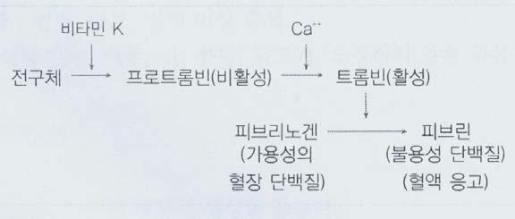 ᄀ구루병 : 칼슘이효율적으로침착되지못하여뼈가약해지고골격의기형을초래하며, 약해진다리뼈가체중을이겨내지못해다리가 O 자형또는 X자형으로휘게되는것으로어린이에게발생ᄂ골다공증 : 뼈에서칼슘이빠져나가골밀도가저하됨에따라골절이발생하는것으로성인에게발생다과잉증체중감소, 구토, 설사라함유식품ᄀ동물성식품 : 생선, 간유, 달걀노른자, 버터에비타민 D의형태ᄂ식물성식품 :