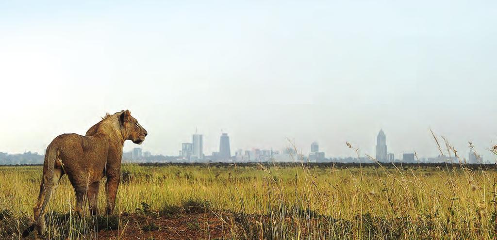 UNEA-2 Delivering on the environmental dimension of the 2030 Agenda for Sustainable