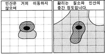 30-40% ( 표층비, 전층, 시비 ) Fe, Ca, Al-P 등과