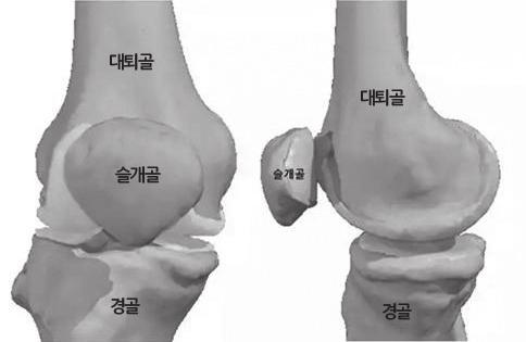 무릎관절은 3가지뼈로구성되어있습니다.