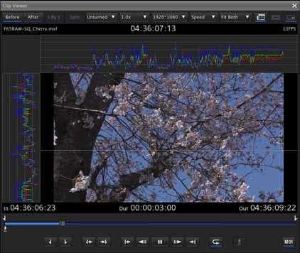 Clip Viewer Clip Viewer 창에서클립을재생할수있습니다. Clip Browser 창의클립리스트영역에서클립을더블클릭하면 Clip Viewer 창에클립이표시됩니다. 또한화면에서수평및수직선을지정하고 RGB 레벨을파형으로표시할수있습니다. 화면을더블클릭하면전체화면모드로전환됩니다. 다시더블클릭하면일반표시화면으로돌아갑니다.