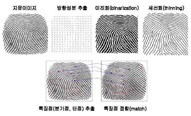 Ⅲ. 기술별시장동향 가. 지문인식기술 기술개요 지문인식기술은가장널리알려진, 그리고가장널리활용되고있는생체인식기술분야임.