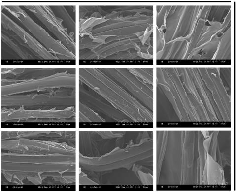 Cell proliferation of NIH/3T3 in silk fibroin/gelatin scaffolds analyzed by WST assay after 1, 2 and 3 days(p<0.05 asterisk means different between *: 1 vs 2 day **: 2 vs 3 days #: 1 vs 3 days).