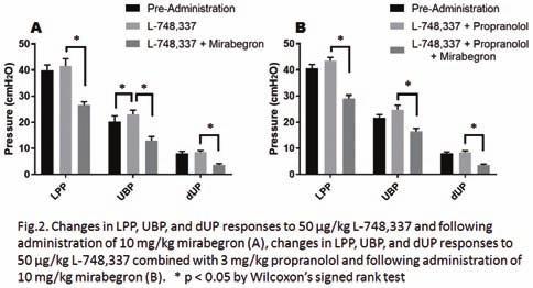 In group A, 2 mg/kg and 0 mg/kg mirabegron were administered intravenously (IV). In group B, 50 µg/kg L-748,337, a selective β3-receptor antagonist, was injected IV prior to 0 mg/kg mirabegron.