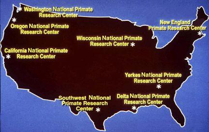 National Primate Research Centers - Access and Contact Information: ( 클릭하면홈페이지가연결됨 ) Criteria and Procedures for Accessing National Primate Research Centers California National Primate