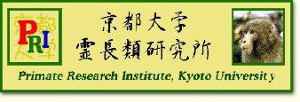 (3) 일본일본은약 70여개이상의영장류보유기관들이있는데, Kyoto Univ. Primate Research Center (http://www.pri.kyoto-u.ac.jp/ 1968 년설립 ), Tsukuba Primate Center (1978년설립 ) 라는 2개의국가영장류센터보유하고있다.