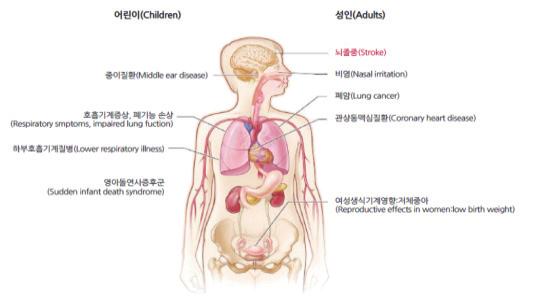 금연 간접흡연노출에의한건강문제 미국보건복지부 2004,2006 주 : 붉은색으로표시된질환은 2014 년도미국공중보건국장보고서에서새롭게보고된흡연관련질환임 (The Health Consequences of Smoking-50 Years of Progress.