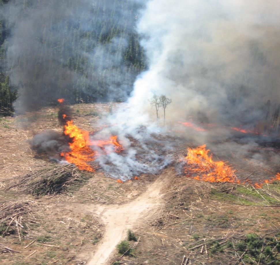 V Wildfire Investigation and Fire Cause 산불조사감식방법