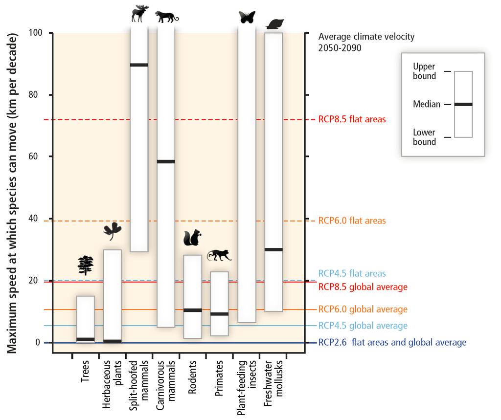 즉, 기후변화속도가느릴수록 ( 대표농도경로 2.6 을의미 ), 종들은더욱수월하게기후변화속도에맞추어서식에적합한장소로이주할수있는것이다 ( 그림. 5). 자신의서식지에서새로운기후에적응하는종도일부있을수있겠지만, 빠르게적응하지못한종들의경우, 개체수가줄것이고지리적서식범위의전체또는일부에서해당종이멸종할것이다.