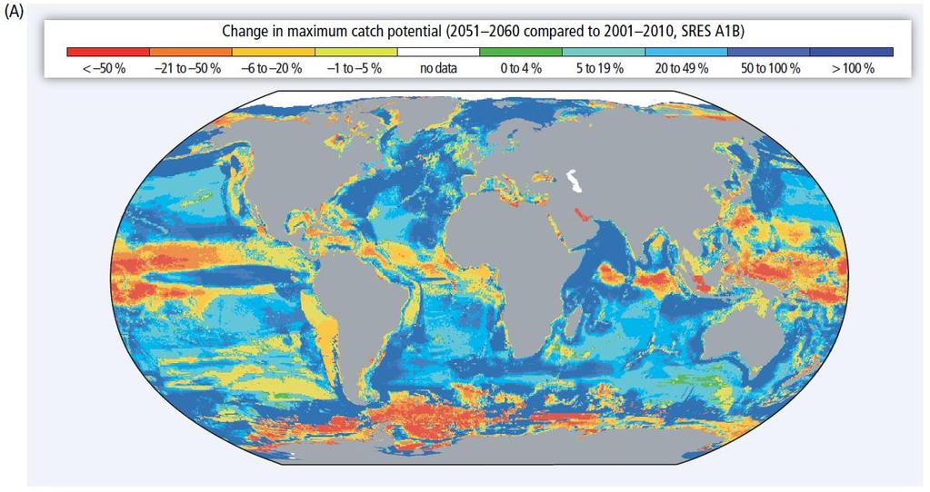 정책결정자를 위한 요약보고서 최대 잠재어획량 변화 (2001-2010년 대비