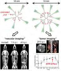 2017 원자력연구개발사업시행계획 32 혈관내주입을위한요오드계 X-ray CT 나노조영제개발 과제명초소형방사형고분자기반차세대요오드계 X-ray CT