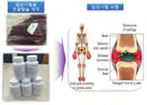 및구제역으로생성된가축매몰지에서침출수가유출되어오염된지하수복원및복합오염물질로오염된농경지지하수의복원에활용 방사선개질전후의제올라이트이용암모니아성질소제거효율비교 전자선과전처리공정이융합된