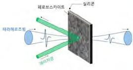 mirna 규명 TFAP2C 에의한폐종양형성기전 62 태양전지소자기반레이저동작세기 1/4 줄인테라헤르츠파변조기술개발