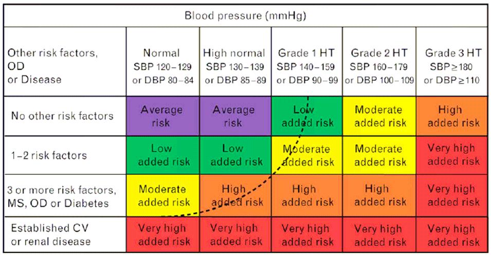 신동구 있다. 또한허혈성심혈관및뇌혈관질환의발생은일중변동이있어서기상후아침부터오전에걸친수시간에집중적으로발생된다는사실은아침혈압상승의중요성을시사한 Figure 1. 고혈압의예후정량화를위한위험도층별화방법.