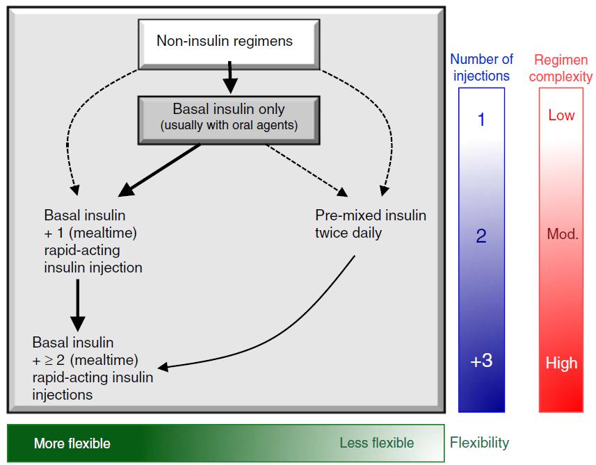 인슐린처방과함께환자에게자가혈당측정, 주사법, 보관법, 저혈당, 아픈날의관리에관한교육이함께이루어지도록한다. 인슐린의작용시간에따라기저인슐린과식후인슐린으로분류할수있으며통상적으로초치료는기저인슐린단독혹은경구혈당강하제의병합요법을사용한다. 0.1~0.2 U/Kg로시작할수있으며혈당이높은경우에는 0.3~0.4 U/Kg 로처방한다.