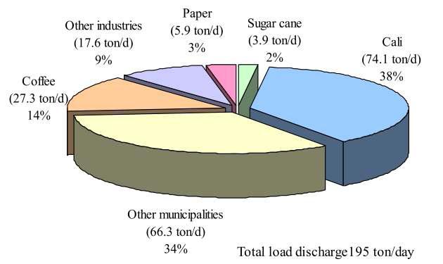 Proyecto del Plan Maestro de Administraction de Agua Residual 다음그림에서보여주는바와같이 Cauca강으로유입되는폐수를발생원별로분류해보면, Cali시에서발생되는하수가 38%, 그밖에도시에서발생되는하수의유입이 34% 로하수의비율이 72% 를차지한다.