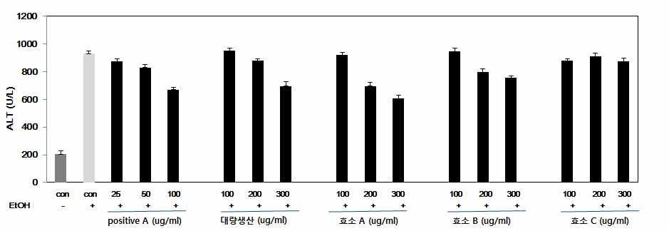 사. 인삼열매추출물효소가수분해조건에따른 in vitro - 인삼열매의알코올성간손상보호효과에대한효능을검증하고자알코올성간독성으로유도된 HepG2 세포에서, 인삼열매처리에따른간의효소 (ALT, AST)