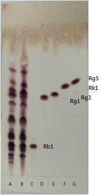 바. 태극삼및흑삼농축액의 TLC 에의한 ginsenoside 패턴분석 - 태극삼과흑삼의물추출물농축액의 ginsenoside의 TLC 패턴을조사한결과, 태극삼농축액에서는 ginsenoside-rb1과 Rg1은분명히나타났으나 Rg3(s)