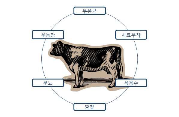 세균성 대장균 (E. coli) 3 5 일령이내분변 / 경구 살모넬라균 (S. typhimurium) 클로스트리듐 (Cl.